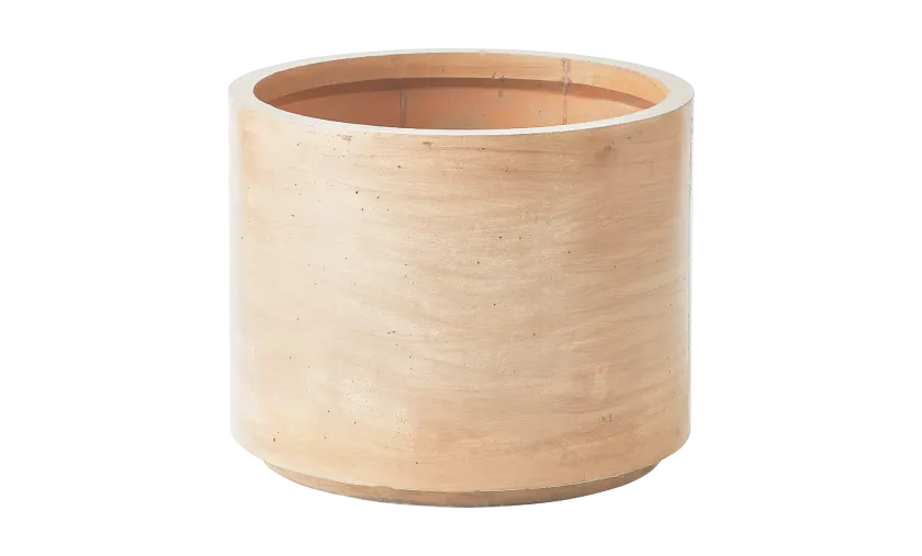 ラスティックM550のイメージ